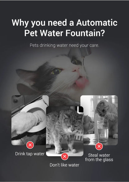 Fuente de agua para gatos ROJECO, dispensador automático de agua para mascotas, bebedero inteligente para gatos, sensor automático, accesorios para fuente de agua para gatos