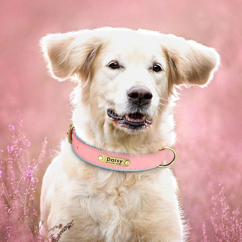 Collar para perro con placa de identificación de cuero PU personalizado, collares para perros suaves y acolchados, grabado gratuito, nombre para perros pequeños, medianos y grandes, ajustable