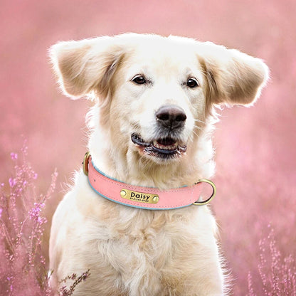 Collar para perro con placa de identificación de cuero PU personalizado, collares para perros suaves y acolchados, grabado gratuito, nombre para perros pequeños, medianos y grandes, ajustable