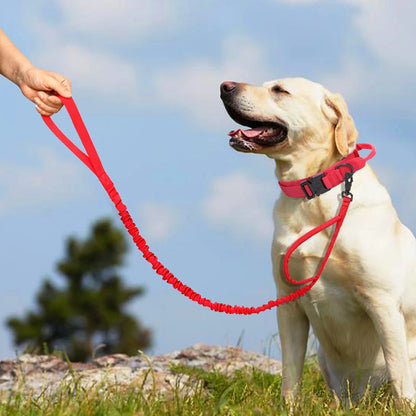 HeavyLuxeDog ™ Heavy-Duty Tactical Dog Collar & Bungee Leash Set