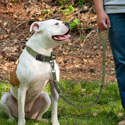 HeavyLuxeDog ™ Heavy-Duty Tactical Dog Collar & Bungee Leash Set