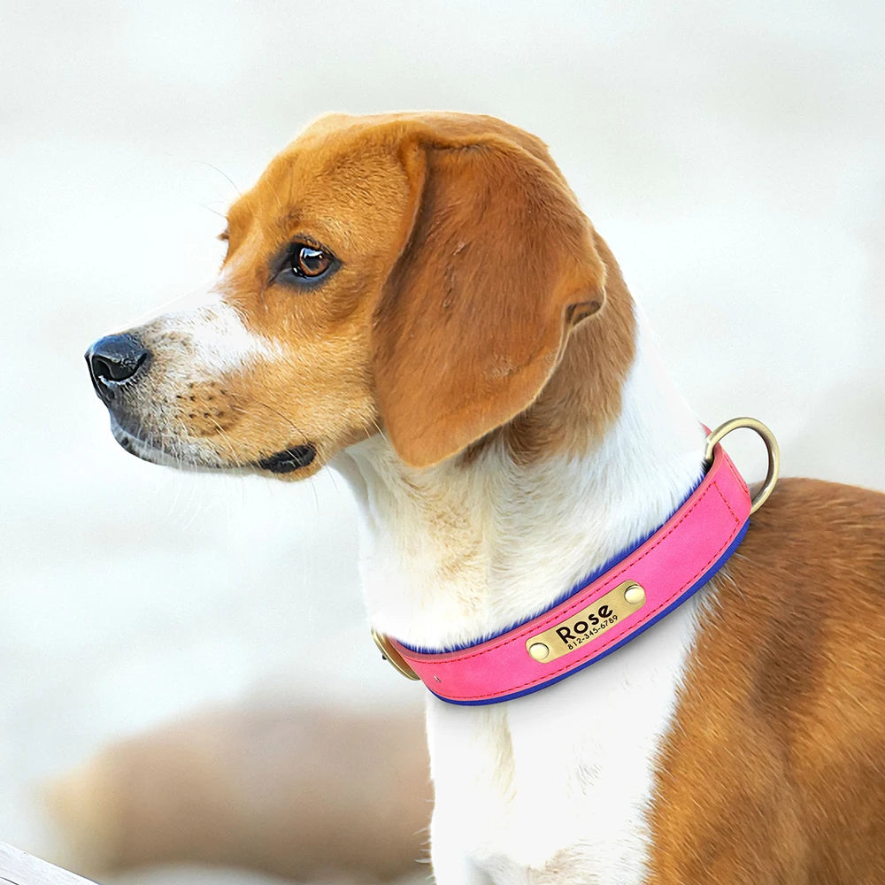 Collar para perro con placa de identificación de cuero PU personalizado, collares para perros suaves y acolchados, grabado gratuito, nombre para perros pequeños, medianos y grandes, ajustable