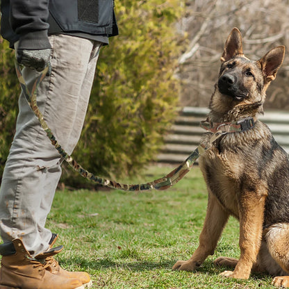 HeavyLuxeDog ™ Heavy-Duty Tactical Dog Collar & Bungee Leash Set