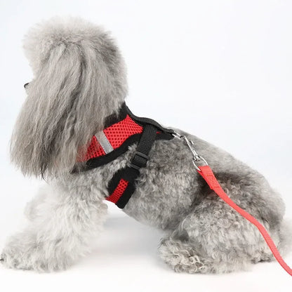 HeavyLuxeDog ™ Premium Adjustable Mesh Vest Harness