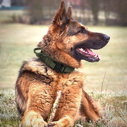 Collar táctico militar duradero para perros, juego de correa elástica, collar de entrenamiento de nailon para caminar para perros medianos y grandes, pastor alemán