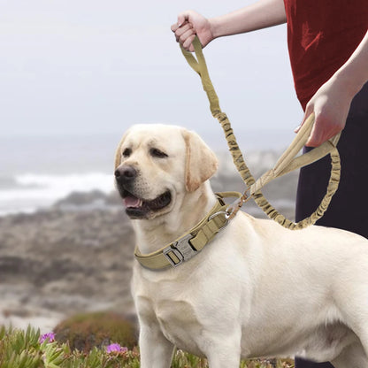 Collar táctico militar duradero para perros, juego de correa elástica, collar de entrenamiento de nailon para caminar para perros medianos y grandes, pastor alemán