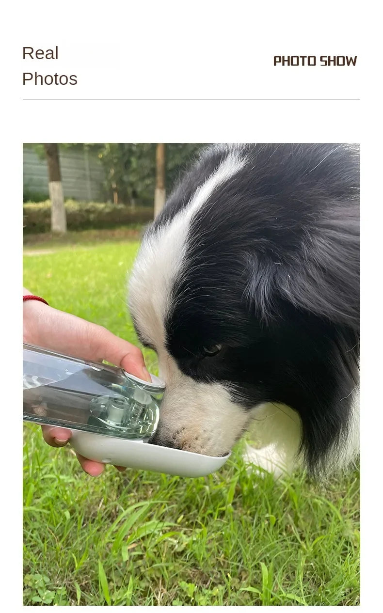 Bebedero para perros y gatos Botella de agua portátil para perros pequeños y grandes Tazones para beber para caminar al aire libre a prueba de fugas