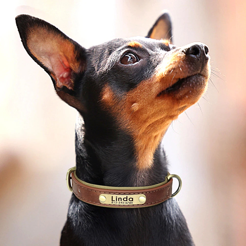 Collar para perro con placa de identificación de cuero PU personalizado, collares para perros suaves y acolchados, grabado gratuito, nombre para perros pequeños, medianos y grandes, ajustable