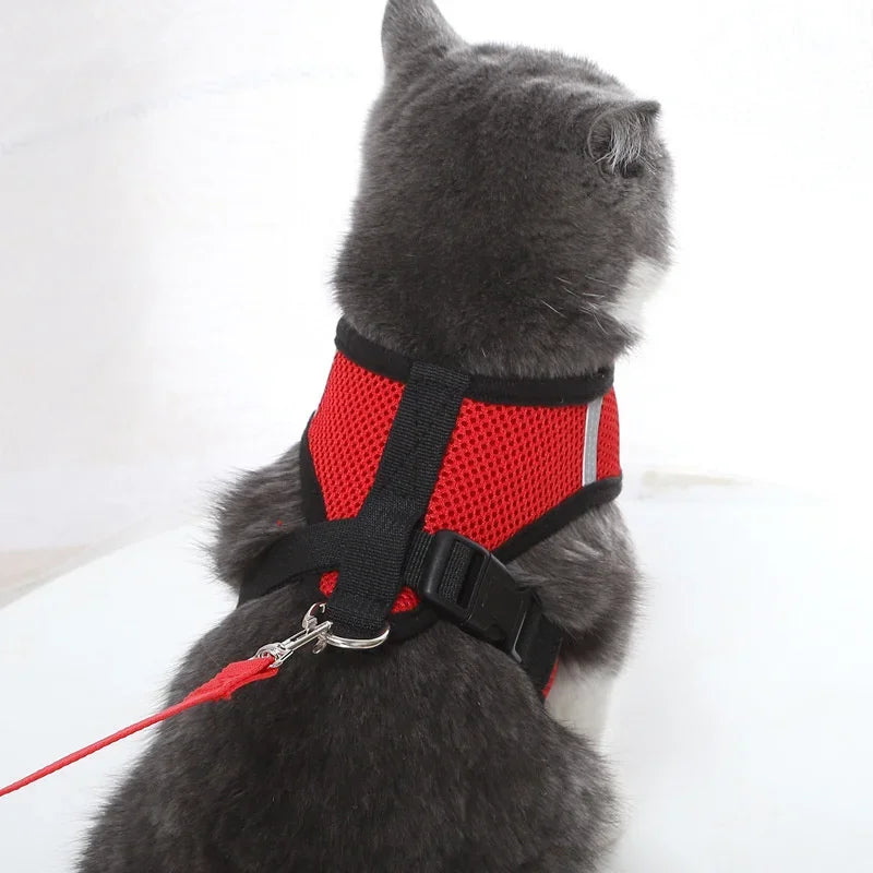 HeavyLuxeDog ™ Premium Adjustable Mesh Vest Harness