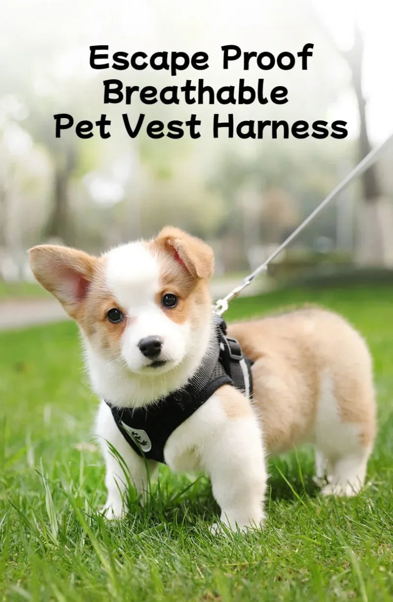 HeavyLuxeDog ™ Premium Adjustable Mesh Vest Harness