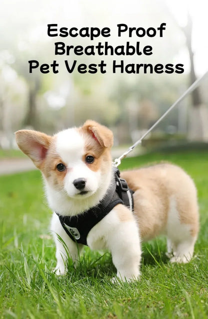 HeavyLuxeDog ™ Premium Adjustable Mesh Vest Harness