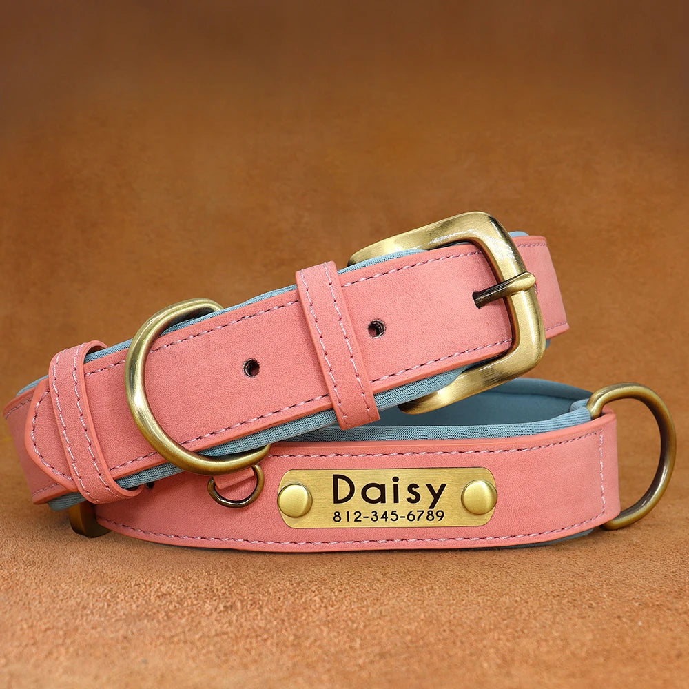 Collar para perro con placa de identificación de cuero PU personalizado, collares para perros suaves y acolchados, grabado gratuito, nombre para perros pequeños, medianos y grandes, ajustable