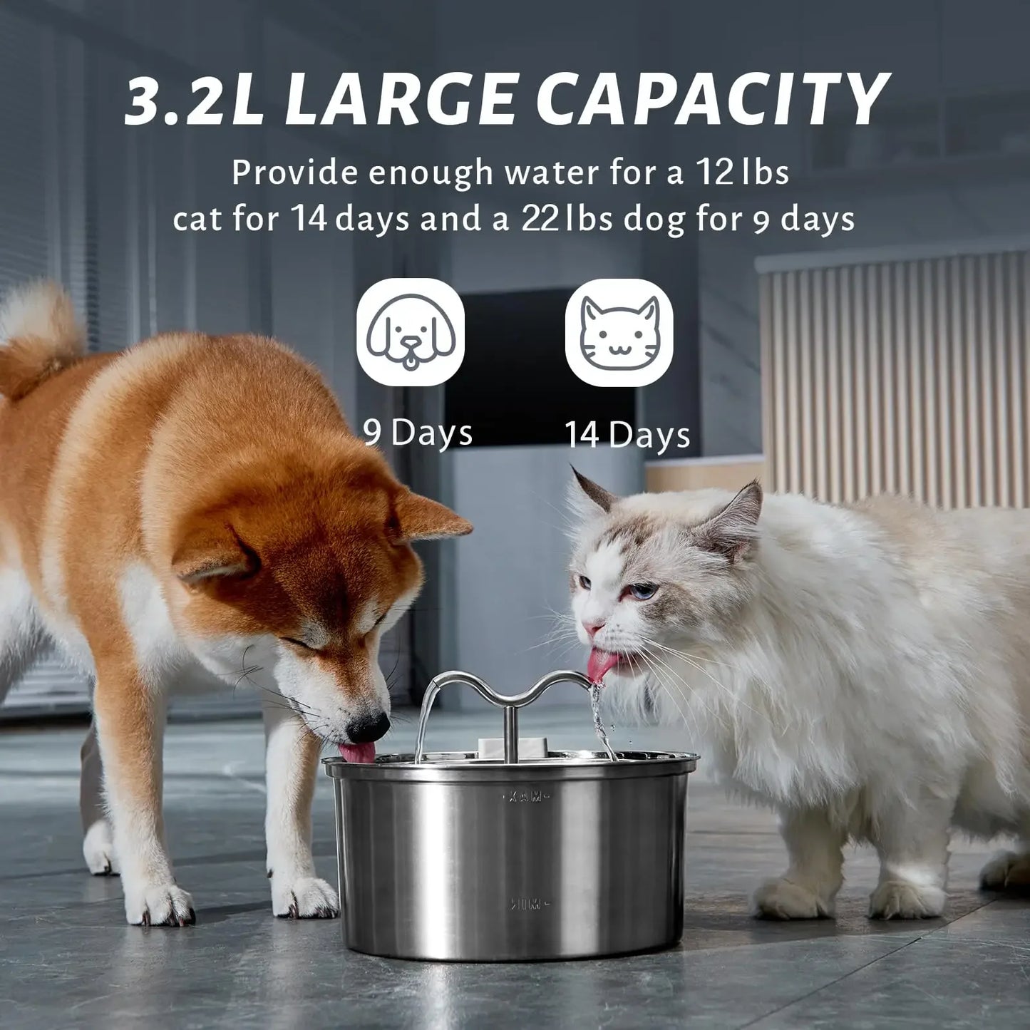 HeavyLuxeDog ™ tainless Steel Dual-Head Pet Fountain