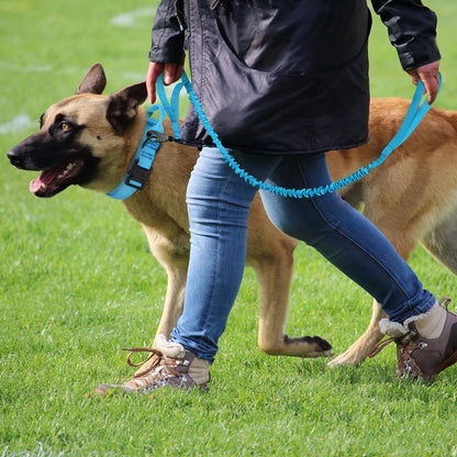 HeavyLuxeDog ™ Heavy-Duty Tactical Dog Collar & Bungee Leash Set