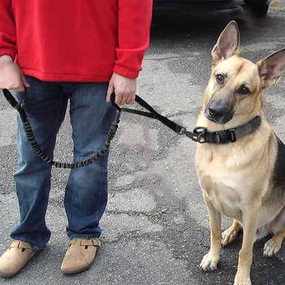 HeavyLuxeDog ™ Heavy-Duty Tactical Dog Collar & Bungee Leash Set