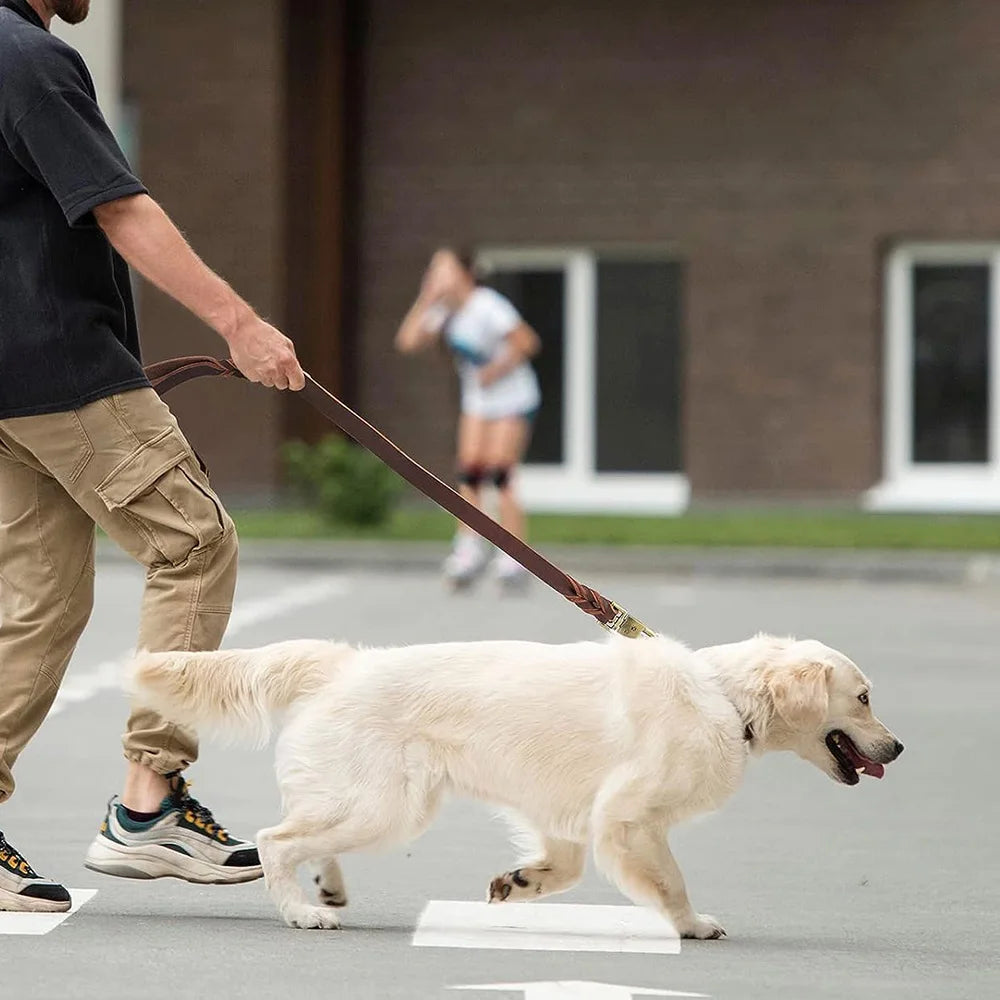 HeavyLuxeDog ™ Premium Genuine Leather Dog Leash