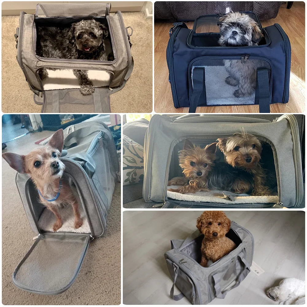 Bolsa de transporte para perros Mochila blanda para gatos Bolsas de viaje para perros Transporte aprobado por aerolíneas para perros pequeños Gatos Extrovertidos