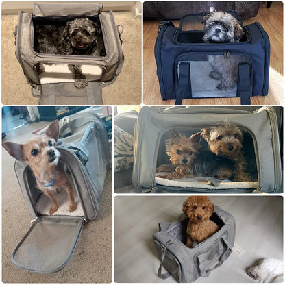 Bolsa de transporte para perros Mochila blanda para gatos Bolsas de viaje para perros Transporte aprobado por aerolíneas para perros pequeños Gatos Extrovertidos