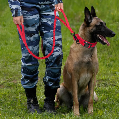 HeavyLuxeDog ™ Heavy-Duty Tactical Dog Collar & Bungee Leash Set