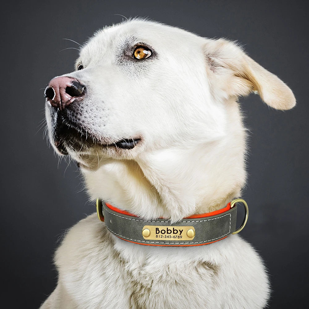 Collar para perro con placa de identificación de cuero PU personalizado, collares para perros suaves y acolchados, grabado gratuito, nombre para perros pequeños, medianos y grandes, ajustable