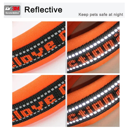 HeavyLuxeDog ™ Truelove Reflective Nylon Pet Collar